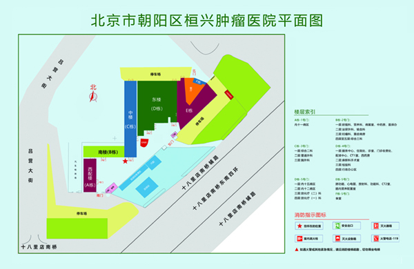 啊用力插嗯好爽舒服视频北京市朝阳区桓兴肿瘤医院平面图